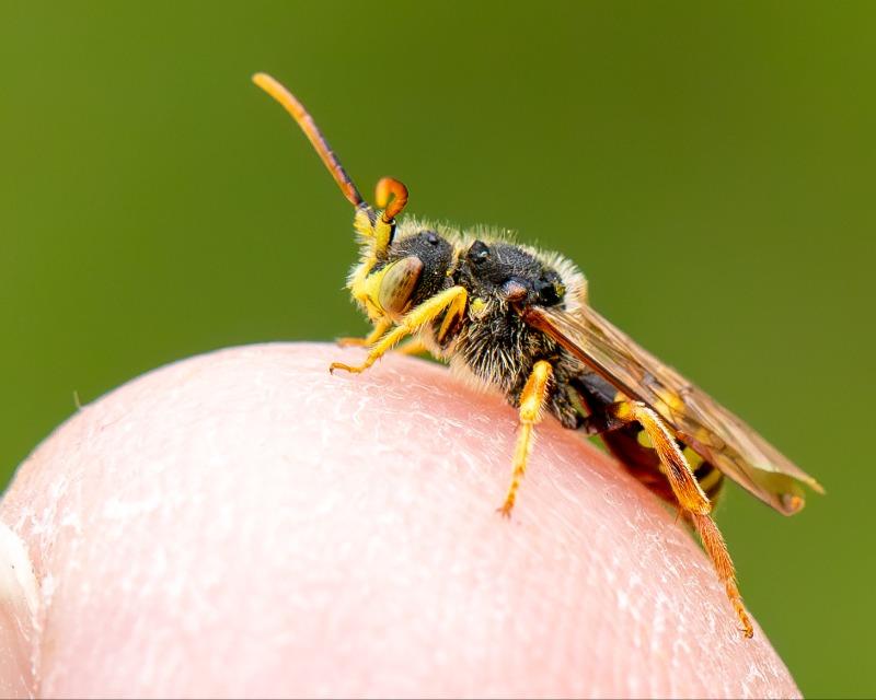 Défi Natura'Liste PNBM Bioblitz 2025